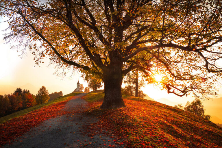 Echoes of Autumn [H]