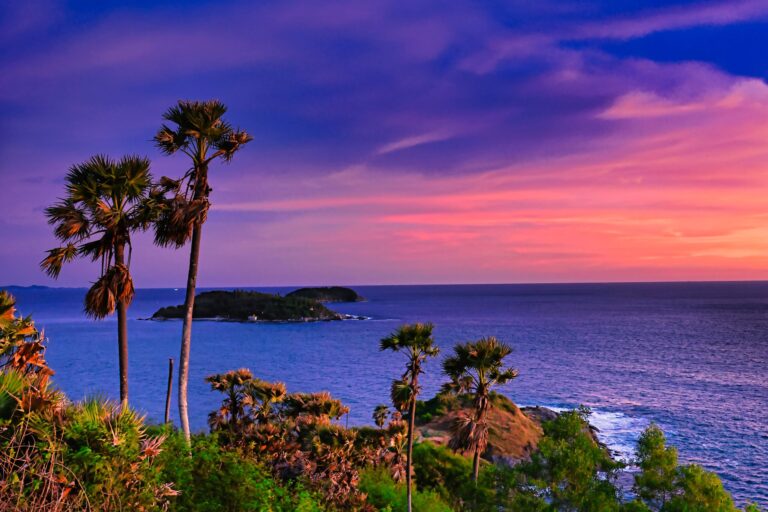 Tropical Twilight [H]