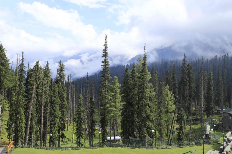 Gulmarg